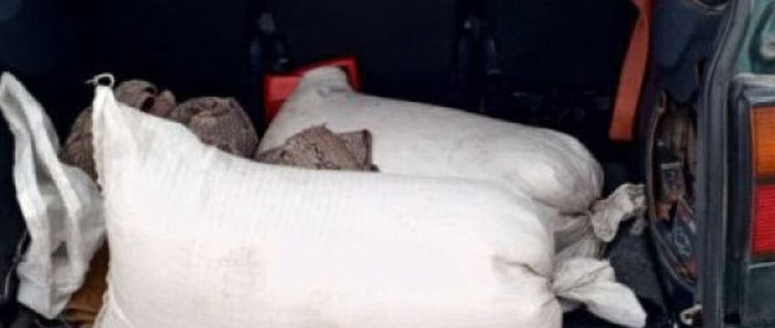 Халява дорого обошлась: житель Пружанского района ответит за кражу минеральных удобрений
