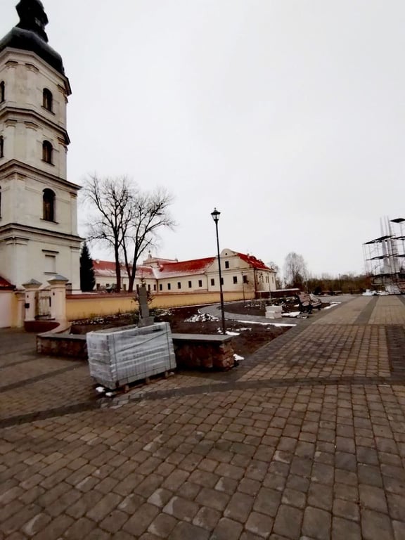 «Бедная сова сидела прямо на бордюре». В центре Пинска вырубили ряд красивейших елей