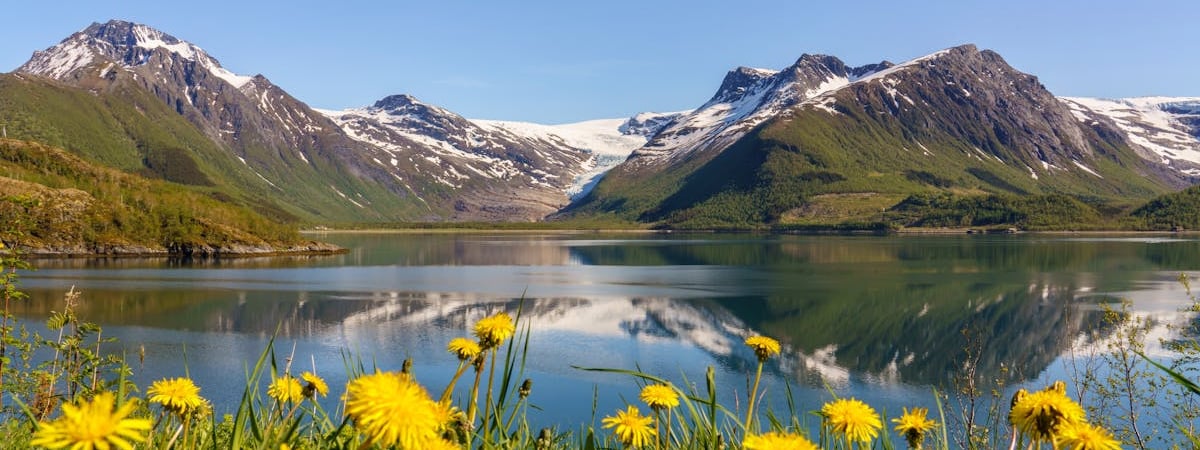 До 66%. Белорусские магазины обрушили цены на кетчуп. Где выгодно купить перед шашлыками?