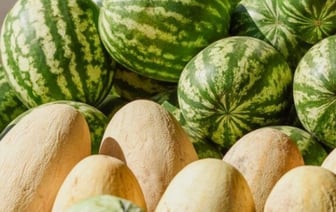 Что полезнее дыня или арбуз? Ответил эксперт