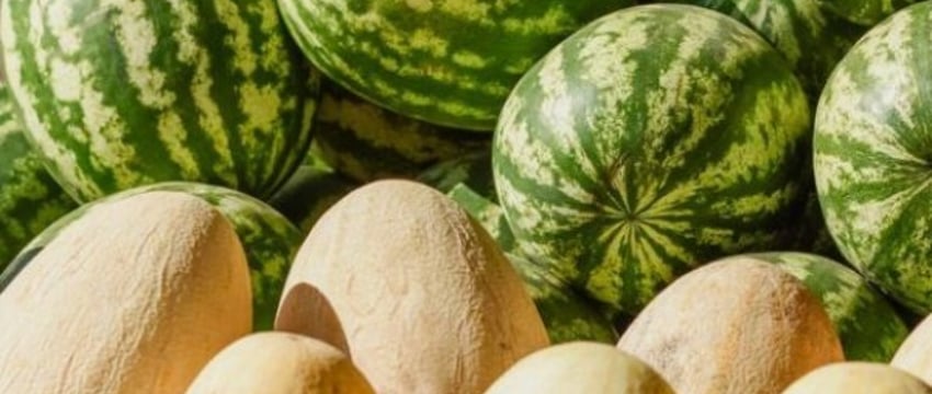 Что полезнее дыня или арбуз? Ответил эксперт