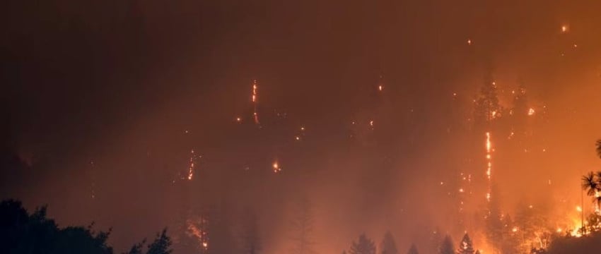 Фейерверк с яхты вызвал лесной пожар на греческом острове, арестованы 13 человек