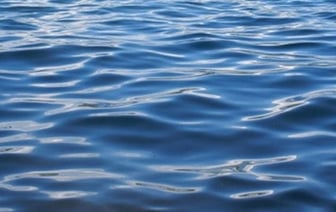 В Бресте утонул парень