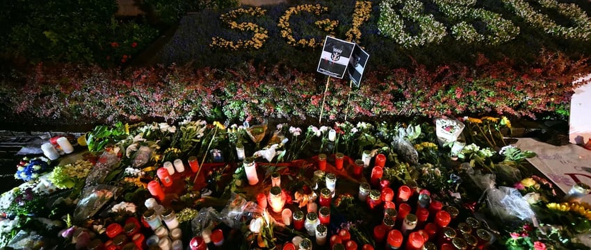Германия ограничит поддержку нелегальных мигрантов после нападения с ножом: министр