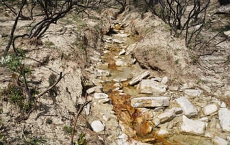 В Польше создается Фонд безопасности и обороны в размере $7,7 млрд