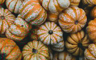 С 1 ноября 2025 года в Беларуси внедрят платежные терминалы в маршрутках