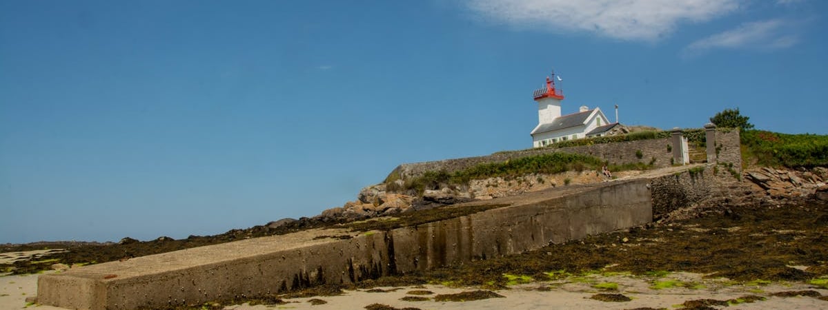Французские фермеры готовят большой протест в Париже и регионах