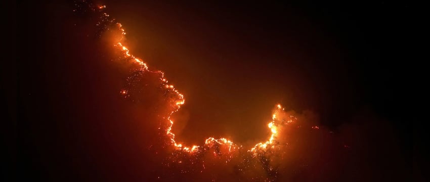 Количество пожаров в тропических лесах Амазонки в Бразилии в августе достигло самого высокого уровня с 2010 года.
