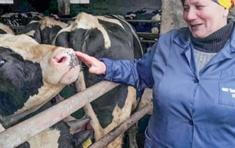 Когда бычки в Каменецком районе тяжелеют в сутки на 900 граммов…