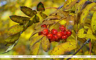 Все чаще - слабые заморозки. Какой будет погода на неделе с 14 по 20 октября