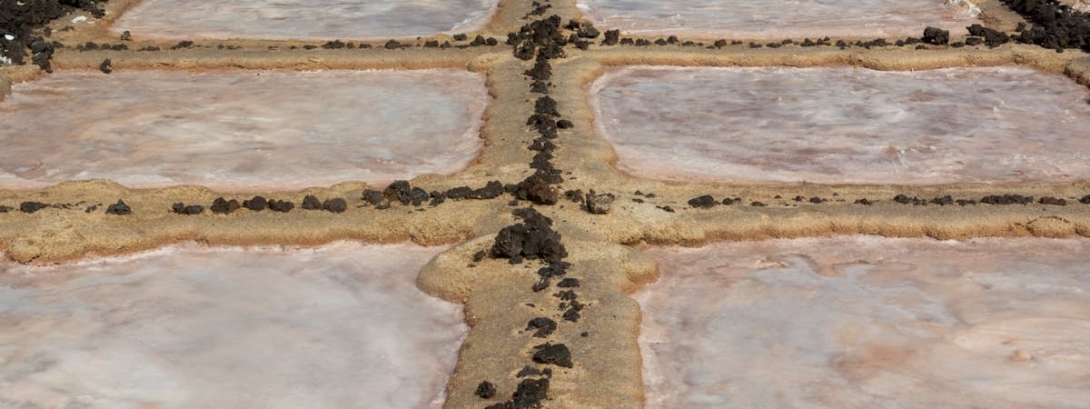 Рост экспорта российских удобрений в 2025 году прогнозируется на уровне 5%