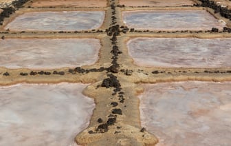 Рост экспорта российских удобрений в 2025 году прогнозируется на уровне 5%