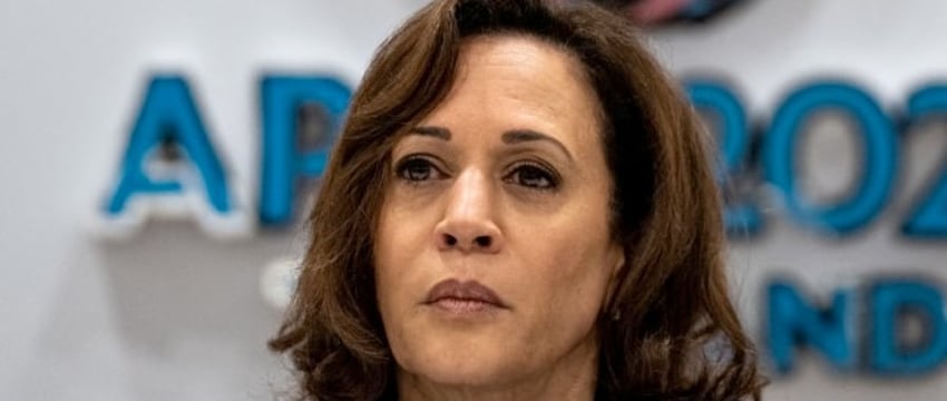 Сможет ли Камала Харрис победить Трампа в президентской гонке в США? Как показывают опросы общественного мнения...