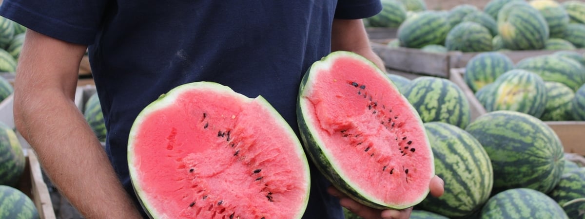 Врачи рассказали, сколько арбуза можно съесть без вреда для здоровья