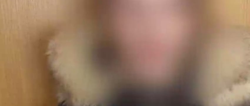 Аферистка предлагала зарегистрировать туристические визы, а после перевода денег исчезала. Девушка обманула жителей Бреста и Кобрина