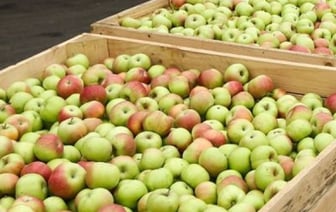 Оштрафовано фермерское хозяйство в Брестской области за нарушение цен