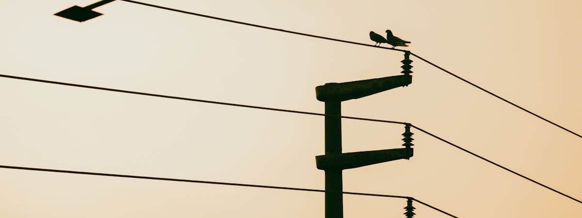 ГТК Беларуси сообщил о проведении 4 марта электромонтажных работ в пункте пропуска «Берестовица»