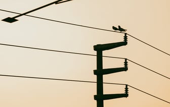 ГТК Беларуси сообщил о проведении 4 марта электромонтажных работ в пункте пропуска «Берестовица»