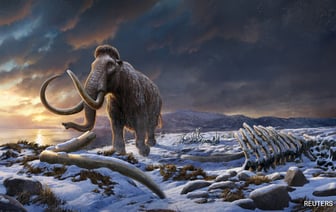 ДНК Шерстистого Мамонта, Замороженного 52 000 Лет Назад, Может Быть Использована для Возрождения Видов