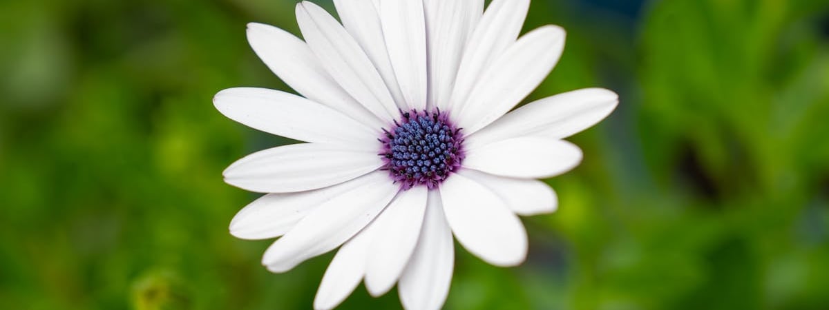 Ростех будет поставлять решения по кибербезопасности в Беларусь