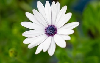 Ростех будет поставлять решения по кибербезопасности в Беларусь