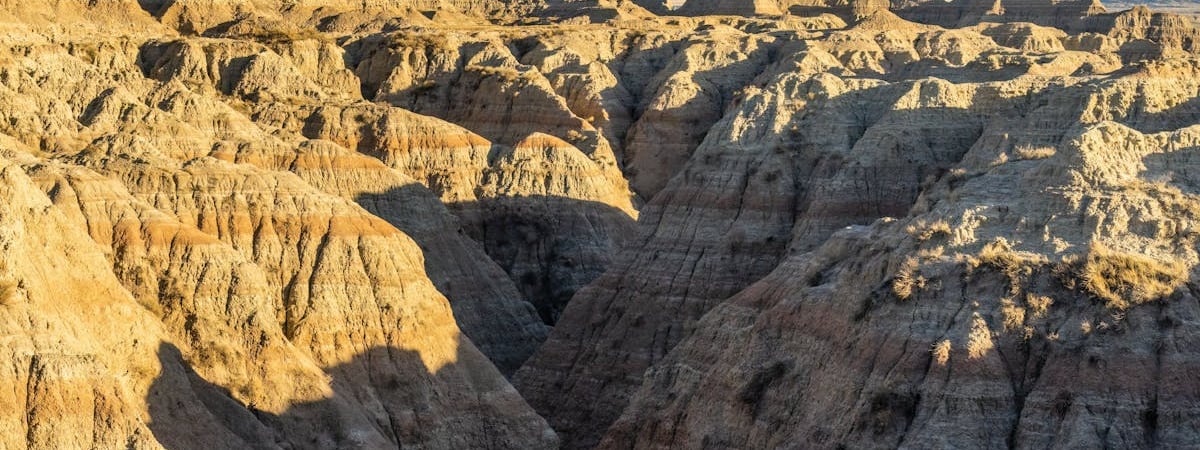 США призвали своих граждан немедленно покинуть Беларусь