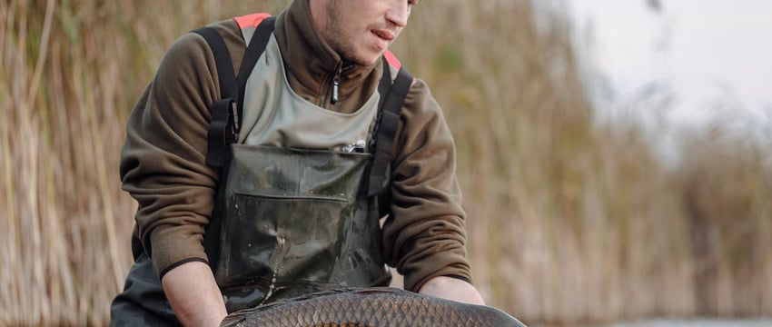 Освобождён от должности начальник УСК по Брестской области