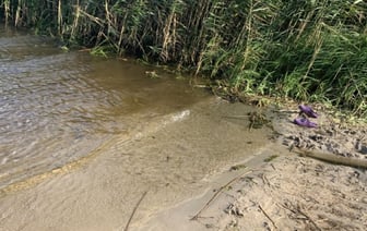 «Сейчас ты будешь за ним нырять!». Пьяный белорус толкнул в реку двух школьников