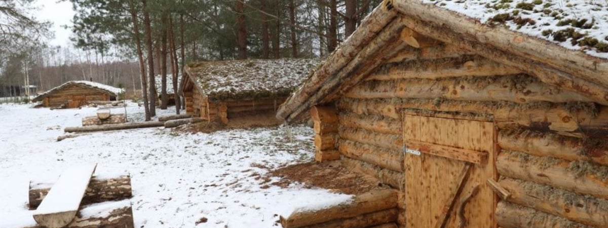 Партизанский лагерь, экотропа и птичий питомник — в Налибокской пуще предлагают необычные экскурсии