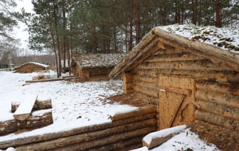 Партизанский лагерь, экотропа и птичий питомник — в Налибокской пуще предлагают необычные экскурсии