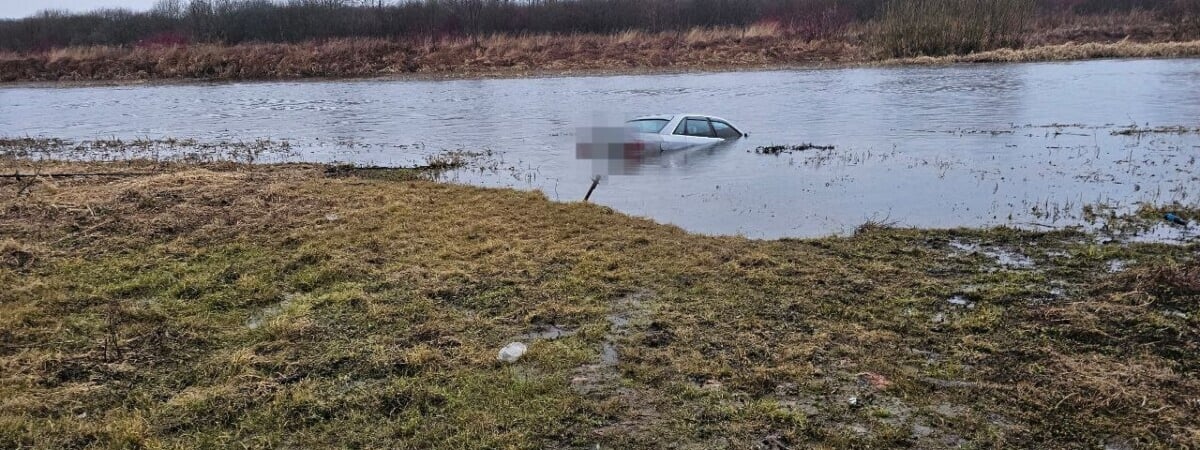 В Борисове автомобиль скатился в реку Березина, пока хозяин ненадолго отлучился — Видео