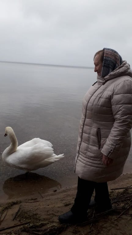 В планах ездить в санаторий каждый год. Заглянули в кошелек пенсионерки