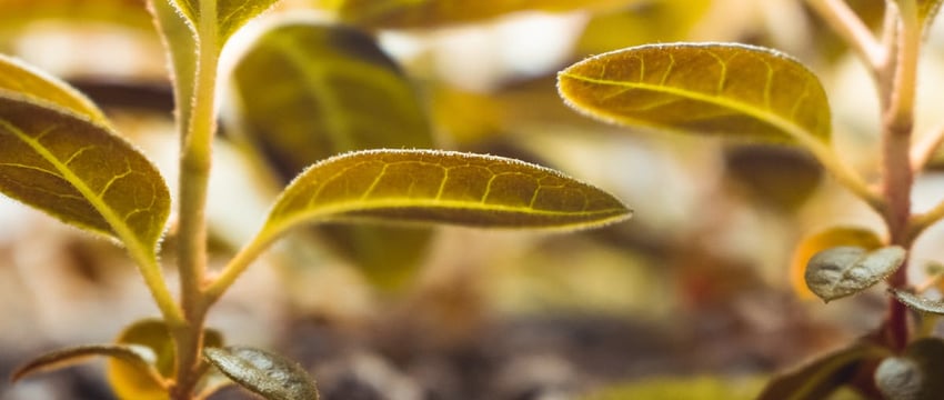 Эмоции зашкаливали. Как в Полоцком районе проходили экстремальные гонки на мотоциклах