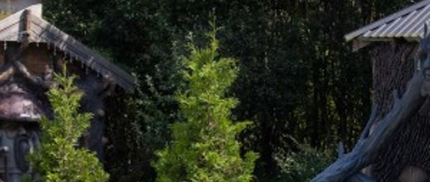 Белорус переехал из Минска в заброшенную деревню и строит сказку