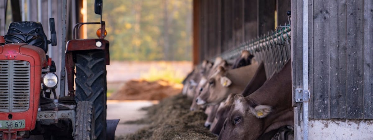 Сельское хозяйство Беларуси собираются перевести на «новый технологический уровень»