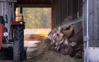 Сельское хозяйство Беларуси собираются перевести на «новый технологический уровень»