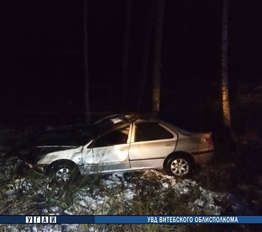 Лось стал причиной ДТП в Поставском районе, молодой водитель в больнице. Фото ГАИ