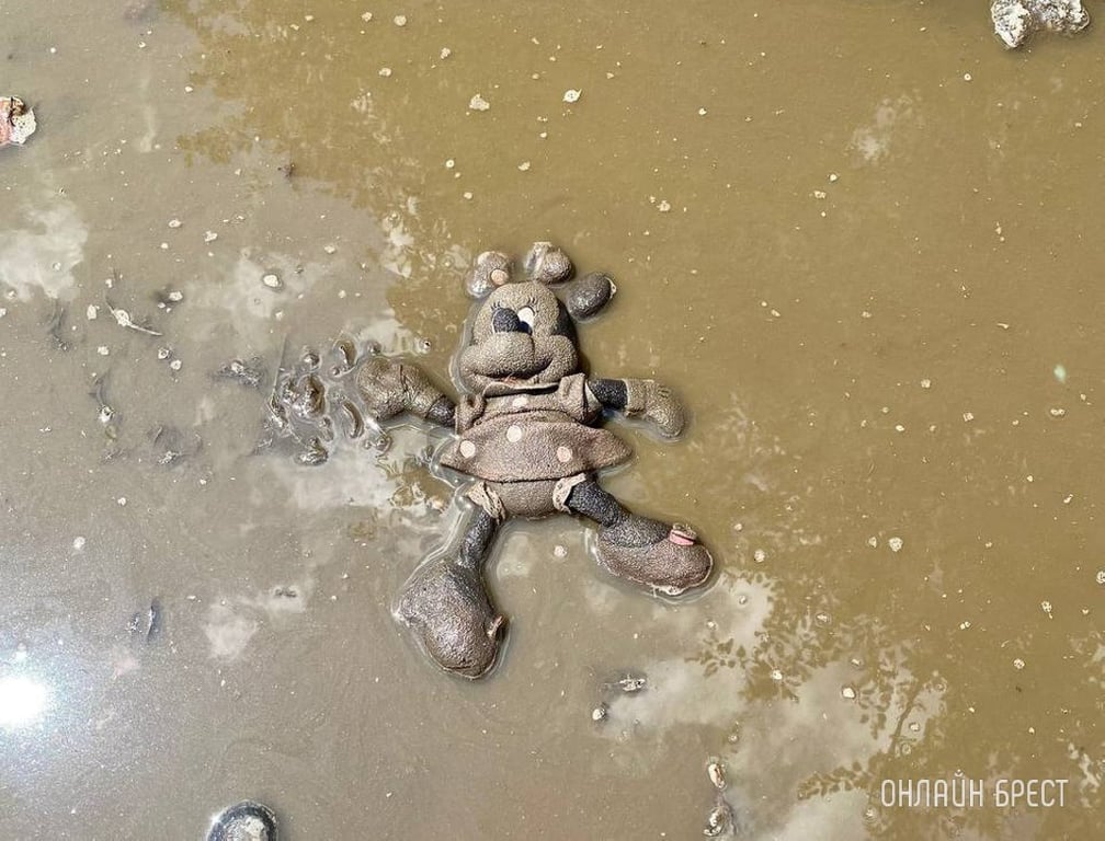 Фото носит иллюстративный характер