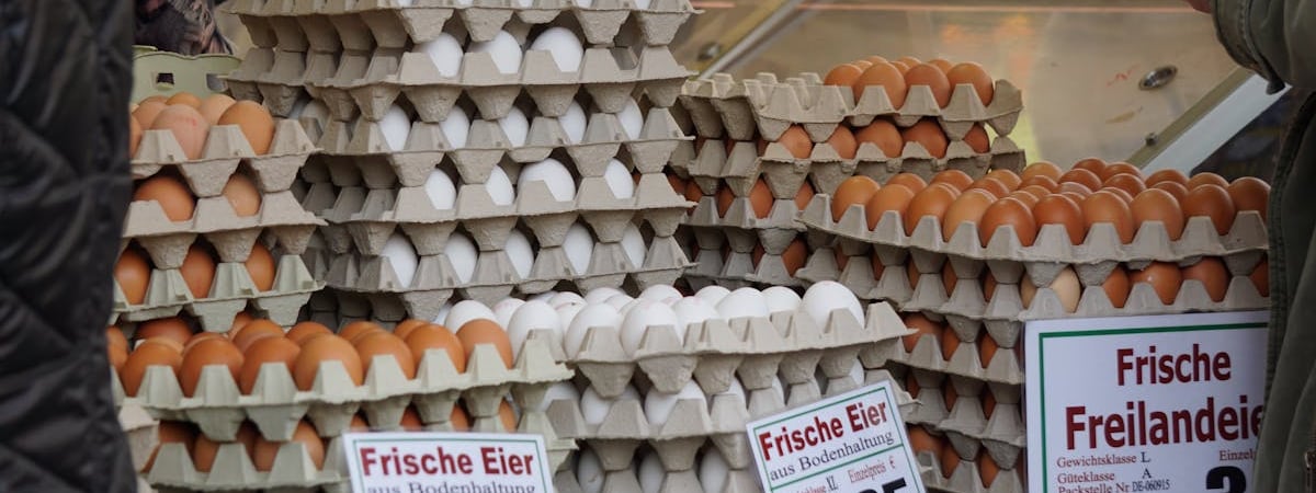 Годовой рост розничных продаж в Германии в сентябре составил 3,8%