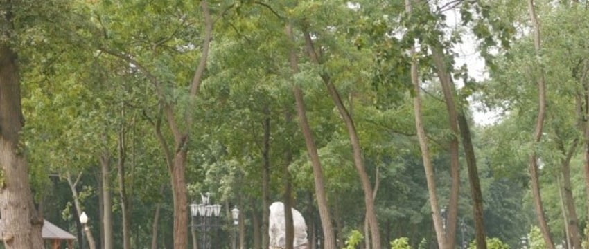Два новых места отдыха появятся в Бресте в этом году