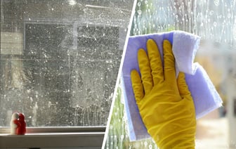Эти ошибки при мытье окон допускают многие. Как легко избежать разводов? — Полезно