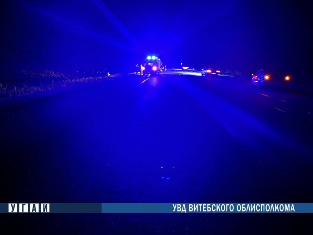 20-летний водитель Volkswagen погиб при наезде на лося на трассе М8