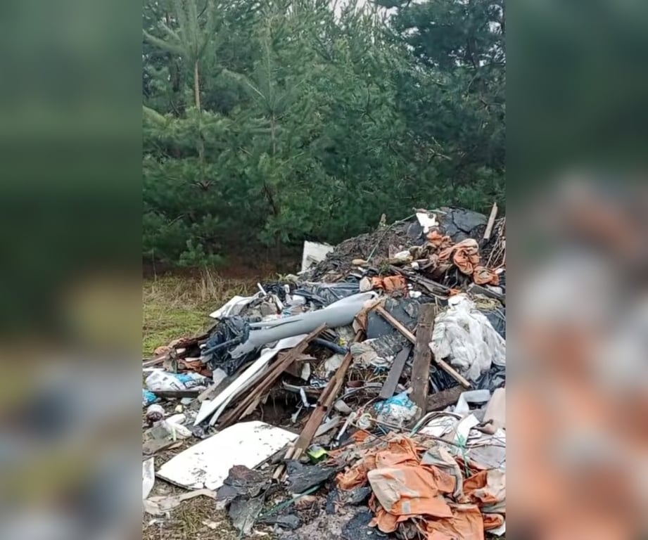 Свалка в лесополосе под Брестом. Мужчина снял видео - в ОАО «Чернавчицы» отреагировали