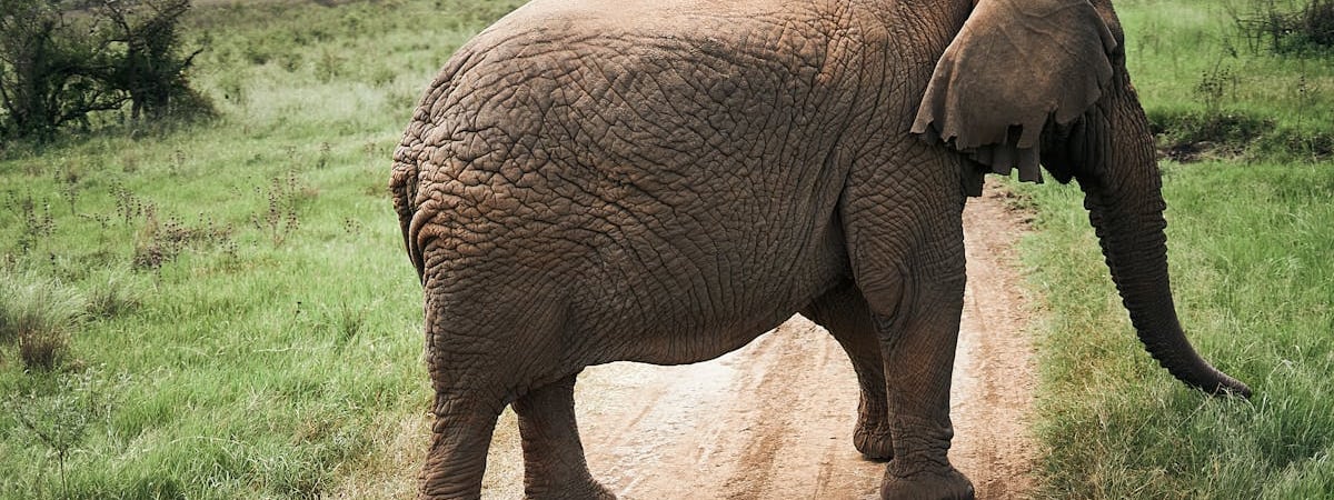 PayPal расширит функционал стейблкоина PYUSD для бизнеса