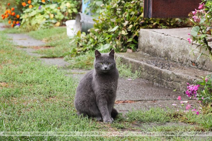Старожилы Пинского района рассказали о жизни после объединения Беларуси