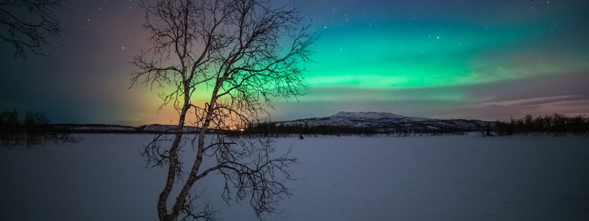 Минобороны РФ отчиталось о сбитии за ночь семи дронов