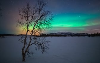 Минобороны РФ отчиталось о сбитии за ночь семи дронов