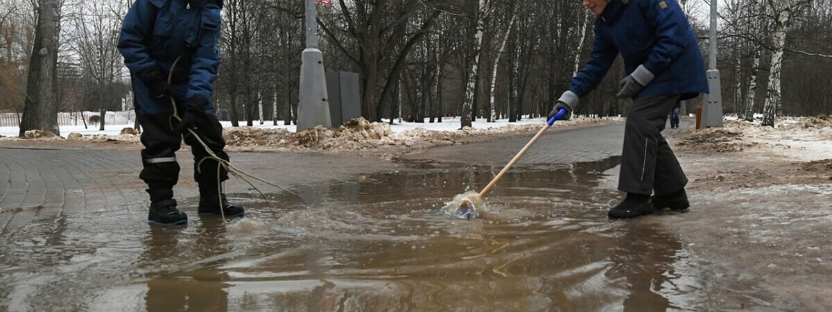 Синоптики спрогнозировали белорусам аномально тёплую зиму 2024-2025. А снегопадов ждать? — Фото