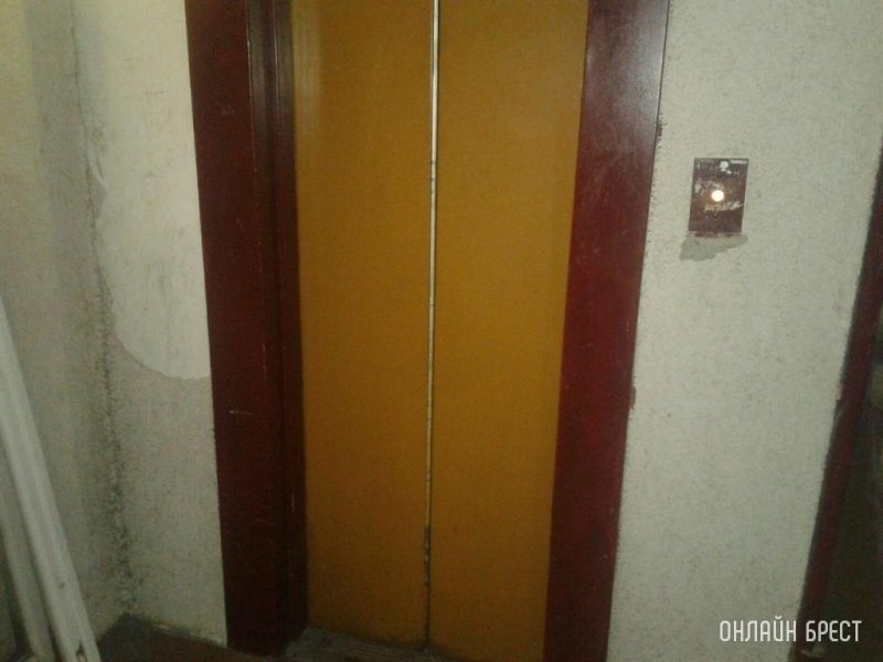 Фото носит иллюстративный характер