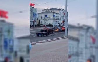 «А техосмотр есть?» — Ролик с конной повозкой в центре Витебска набрал сотни тысяч просмотров — Видео
